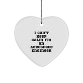 Funny I Can't Keep Calm I'm An Aerospace Engineer Heart Ornament, Gifts from Family to Aerospace Engineer, Christmas Unique Gifts - Image 1